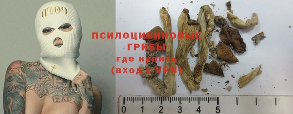 шишки Арсеньев