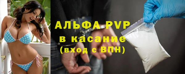 шишки Арсеньев