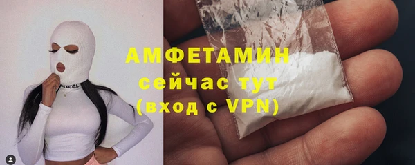 Альфа ПВП Аркадак