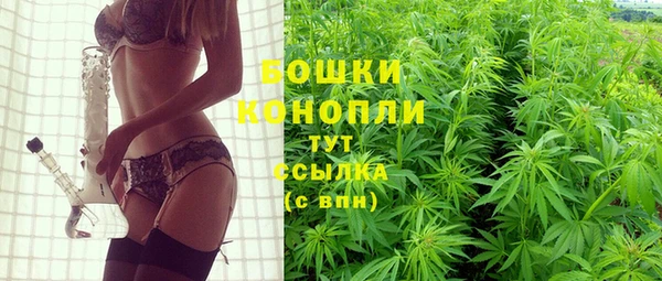 ГАЛЛЮЦИНОГЕННЫЕ ГРИБЫ Дубна
