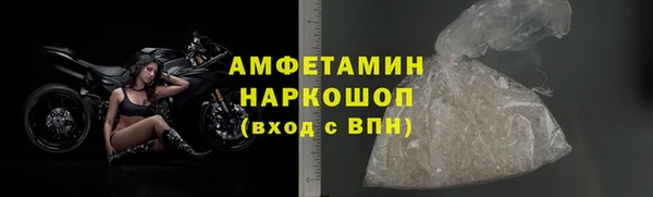 шишки Арсеньев