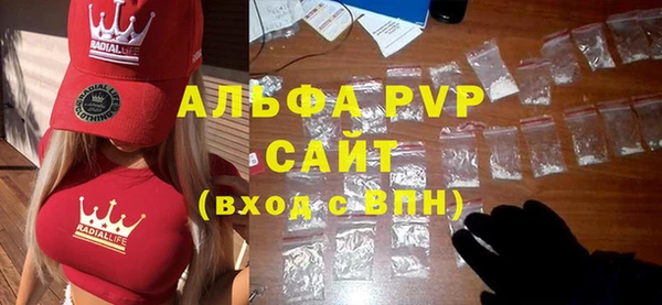 шишки Арсеньев