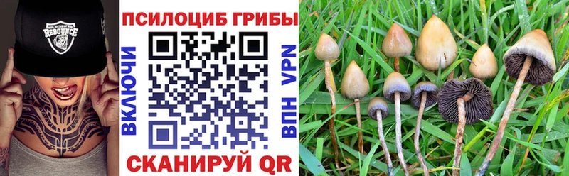 Псилоцибиновые грибы мицелий  Красный Кут 